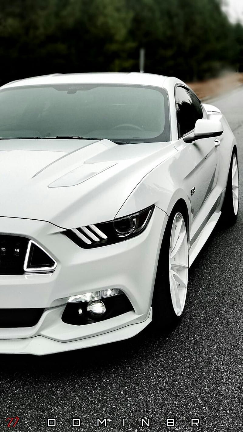 mustang, autos, car, charger, dodge, ford, mission, porche, turbo, HD phone wallpaper