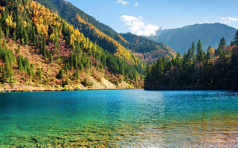 forest lake, emerald lake, forest, autumn, nature reserve, China, Jiuzhaigou, HD wallpaper