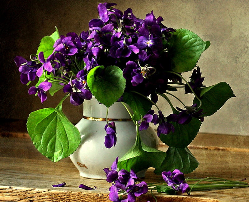 Deliciosas violetas, mesa, naturaleza muerta, flores, violetas, florero,  Fondo de pantalla HD | Peakpx