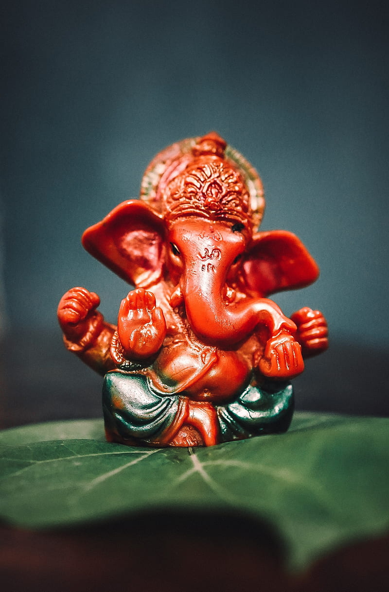 Ganesha, vakratunda, hindu, lord, idol, vinayaka, vignesh, cute, elephant, god, HD phone wallpaper