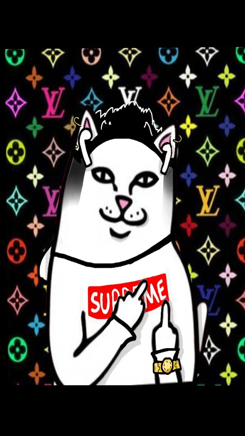 Supreme Cat, cat, hypebeast, louis vuitton, supreme, HD phone wallpaper