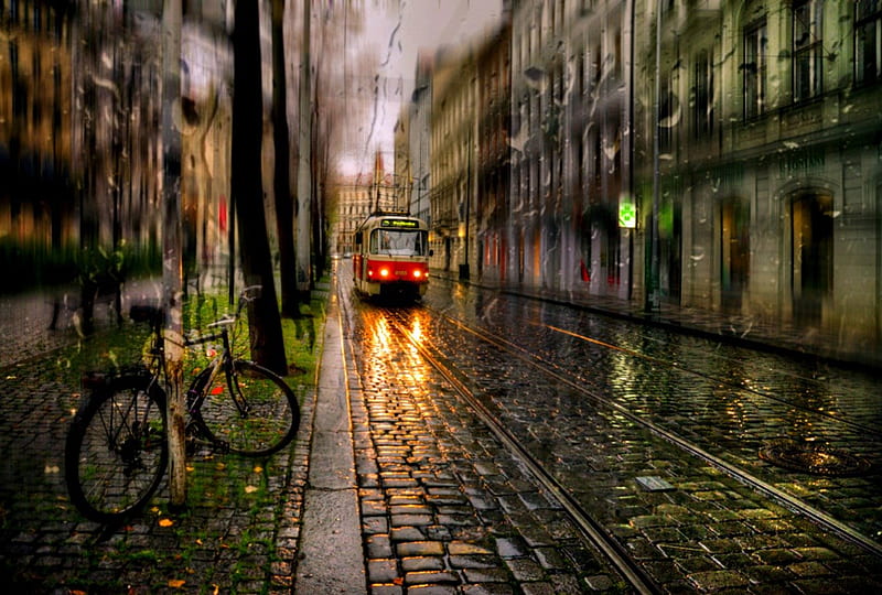 Autumn Rain, fall, autumn, drops, city, splendor, nature, rain, road, autumn rains, HD wallpaper