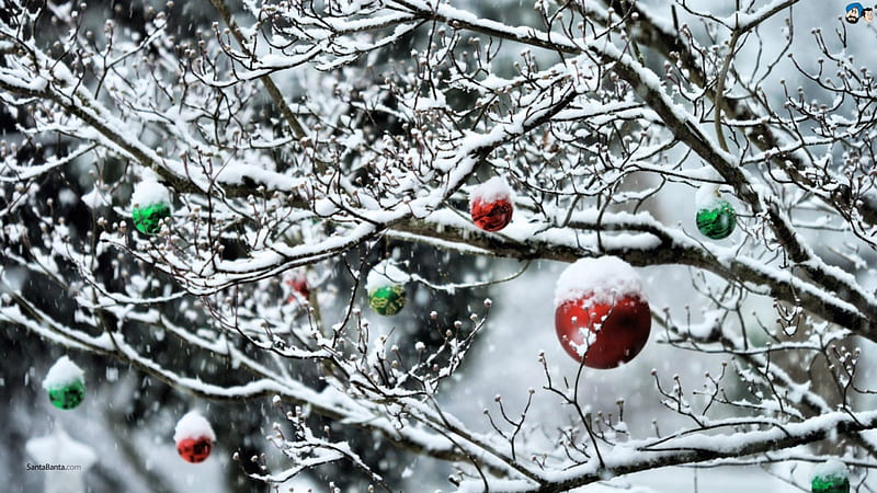 snow and red-green ball, omdave, matu, hrdave, amit, HD wallpaper