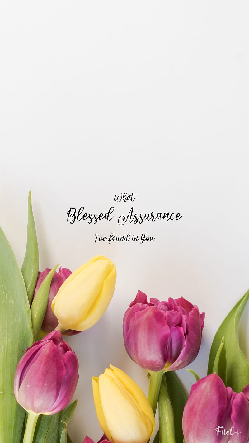 Blessed Assurance, fuel, pink, rose, tulips, HD phone wallpaper