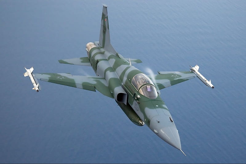 Northrop F-5 dom Fighter, dom fighter, jet fighter, brazilian air force, f5, HD wallpaper