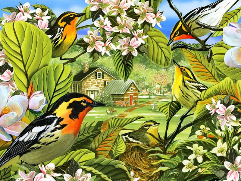 Blackburnian warblers, colorful, house, cottage, blackburn, bonito, fragrance, warblers, leaves, painting, village, art, birds, scent, spring, trees, freshness, blossoms, garden, flowering, blooming, HD wallpaper