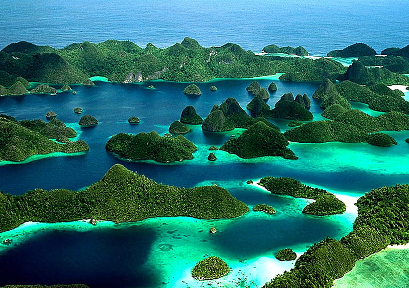 Raja-Empat-Papua-Indonesian, papua, raja, beaches, ampat, nature, indonesian, trees, landscape, HD wallpaper