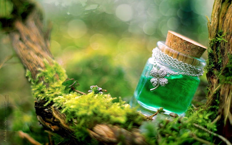 :), clover, green, bottle, trefoil, st patrick, luck, lucky, pendant, mini, jewel, HD wallpaper