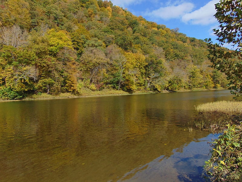 South Potomac River, WV, fall, water, mountains, river, trees, West Virginia, HD wallpaper