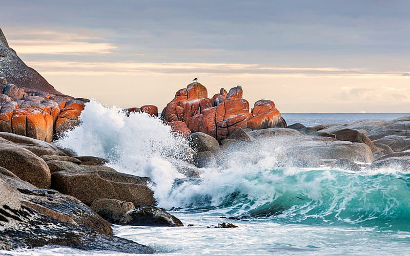 Binalong Bay, Tasmania, Waves, Ocean, beach, Rocks, Tasmania, HD wallpaper