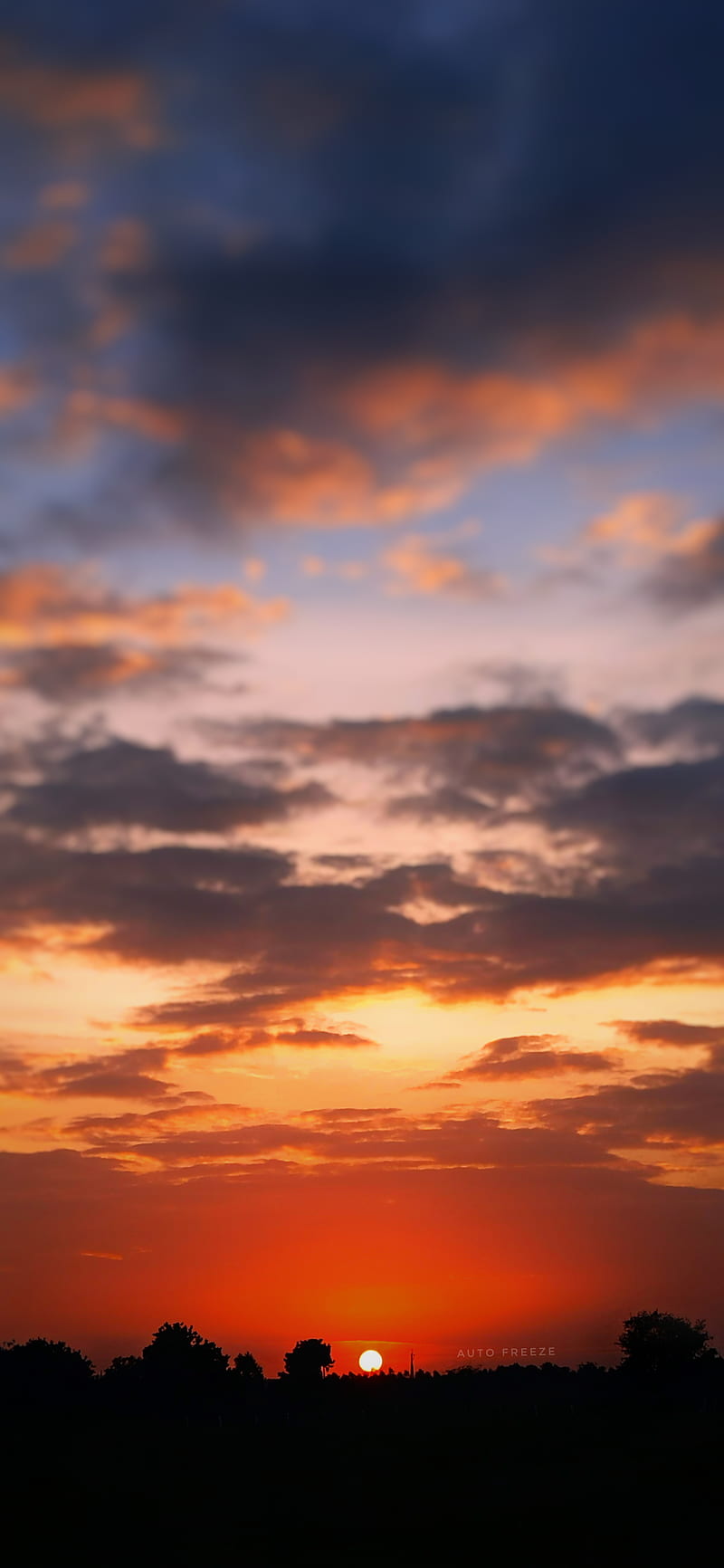 Sunset , red sky sun, sunset sun nature climate, HD phone wallpaper