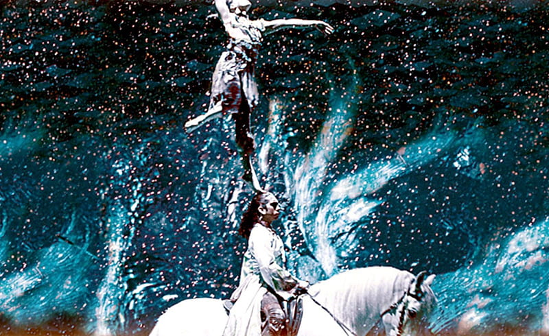 Cavalia 2013, australia, show, Horses, brisbane, HD wallpaper