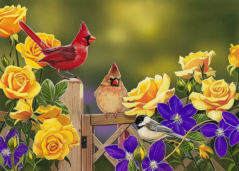 Yellow roses and song birds, fence, art, birds, yellow, bonito, spring, roses, freshness, cardinals, song, gathering, flowers, garden, friends, HD wallpaper