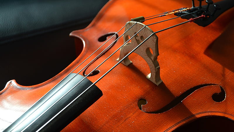 Cello, sound, music, Firefox Persona theme, strings, musical instrument, HD wallpaper