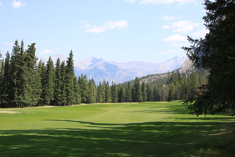 Spruce tall trees at Banff Alberta National Park 24, banff, trees, sky, clouds, graphy, green, golf course, mountains, nature, fields, blue, HD wallpaper