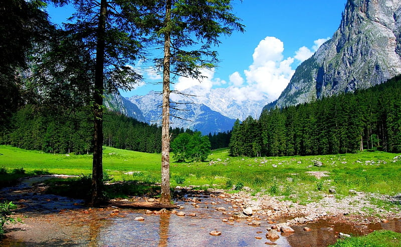 Berchtesgaden National Park, forest, bonito, creek, trees, clouds, water, cliffs, mountains, summer, green grass, Germany, HD wallpaper