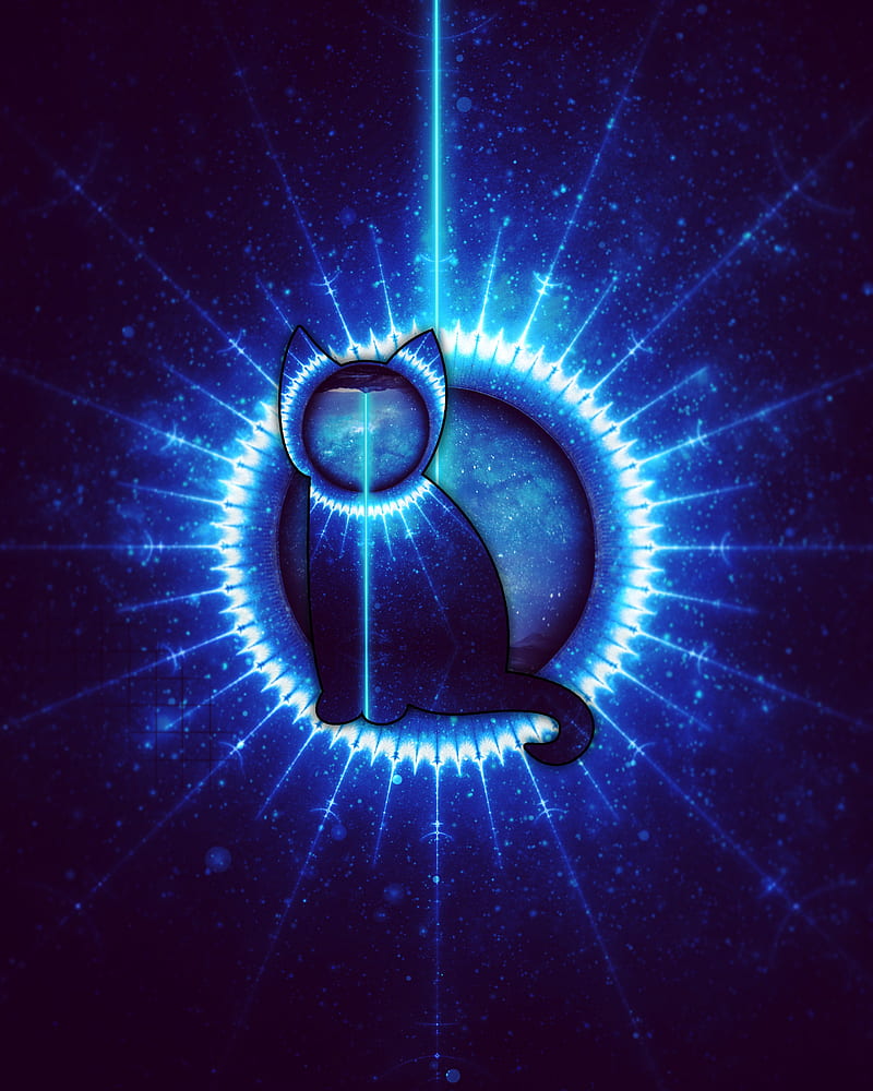 Schrödingers Katze, Amazing, blue, cat, cosmos, light, quantum, spirit, HD phone wallpaper