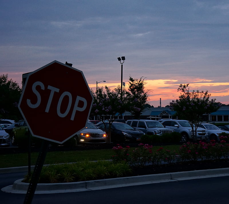 Stop Sign Landscape, stop sign, sun rise, sun set, HD wallpaper
