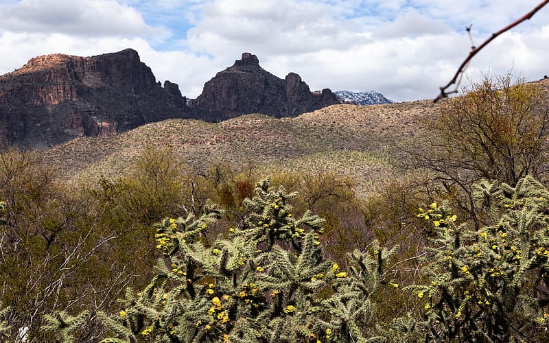 Thimble Peak, Catalina Mountains, Tucson, Arizona, clouds, usa, plants, rocks, sky, HD wallpaper