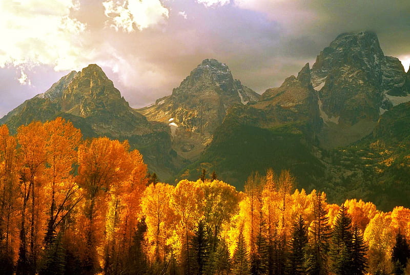 Grand Tetons, Wyoming, fall, autumn, leaves, usa, colors, trees, mist, HD wallpaper
