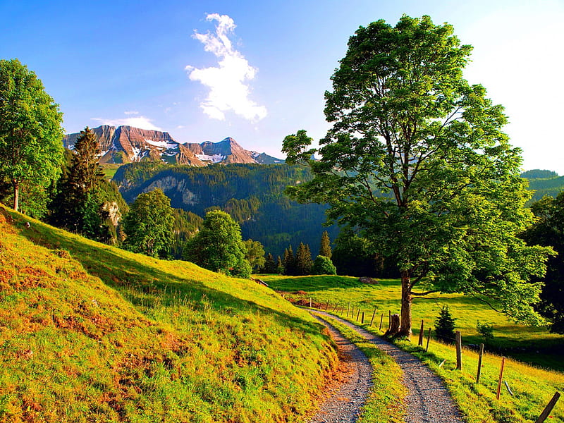 Mountain path, grass, bonito, valley, mountain, nice, path, village, road, hills, lovely, mountainscape, sky, trees, slope, summer, nature, landscape, HD wallpaper