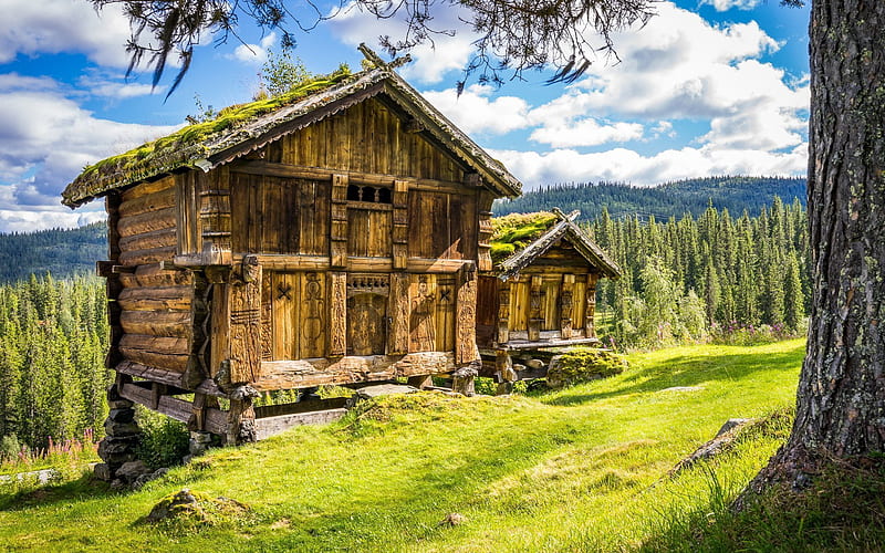 forest, old barn, mountains, norway, HD wallpaper