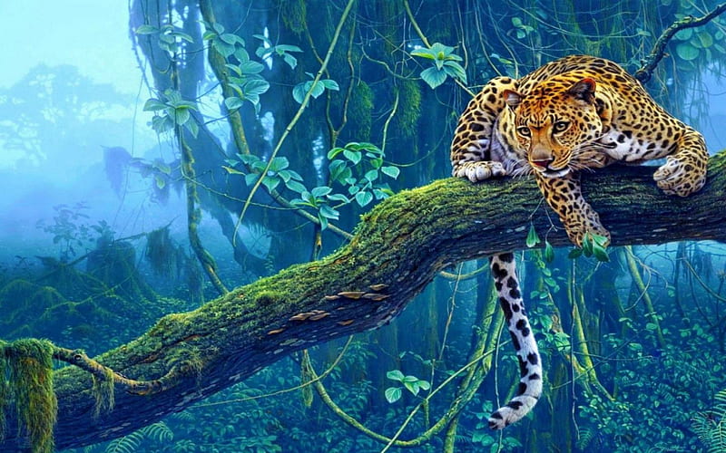 on the lookout, leopard, jungle, cat, branch, HD wallpaper