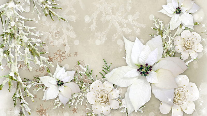 Artistic Poinsettia White Snowflake Snowflake, HD wallpaper