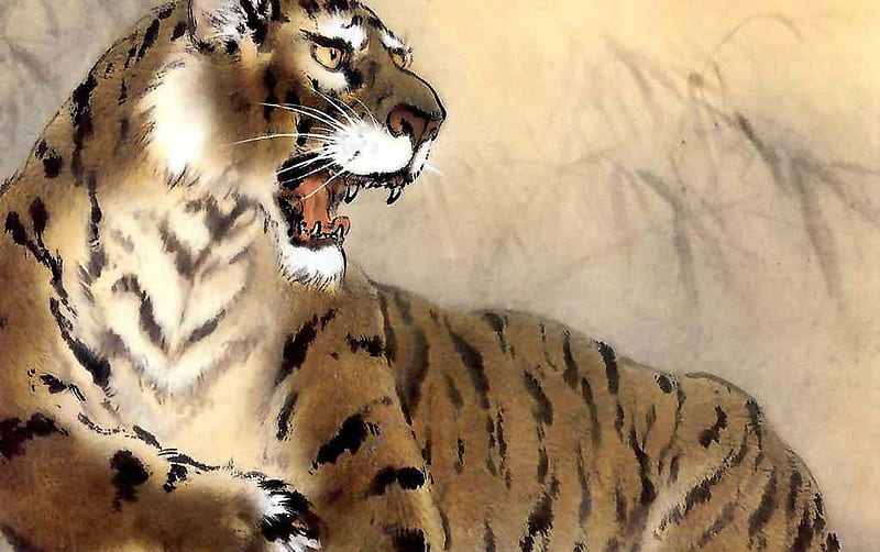 Mountainking, bengal, tiger, fierce, cat, hunter, HD wallpaper