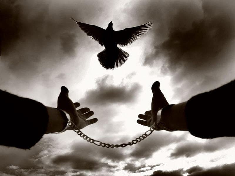 at least you ..be , bird, handcuffs, life, prisoner, HD wallpaper