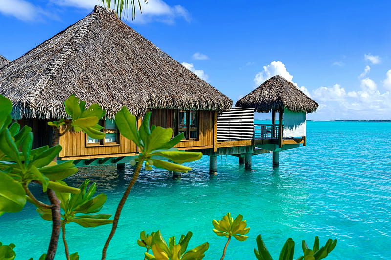 Bora Bora resort, Polynesia, sea, rest, resort, exotic, vacation, hut, ocean, french, bonito, bora bora, paradise, summer, HD wallpaper