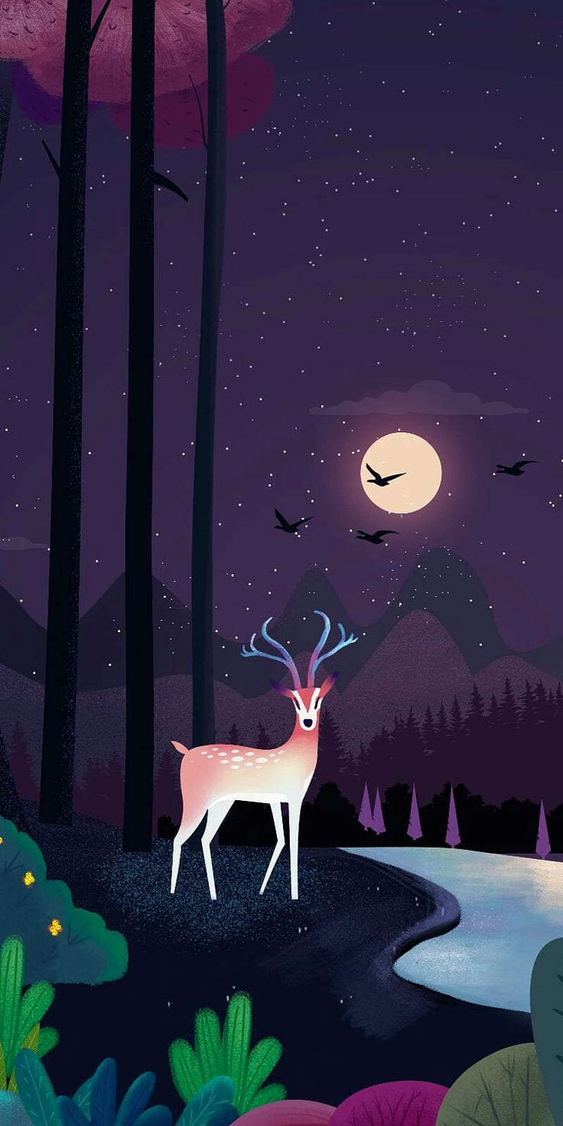 nature, buck, bucks, cute, deer, hunter, hunting, tail, tree, white, HD phone wallpaper
