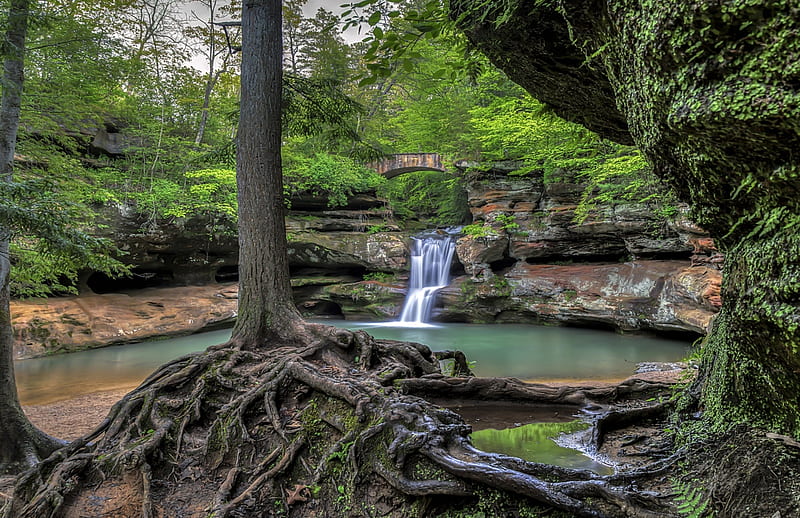 Park Waterfall, Ohio, Old man cave, bridge, waterfall, park, Hocking hills park, trees, lake, HD wallpaper
