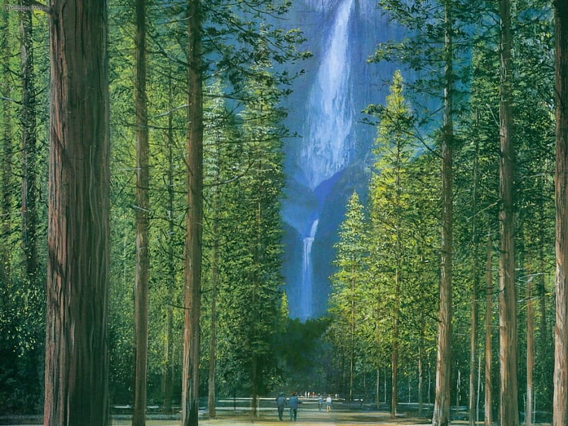 breathtaking view at yosemite falls, waterfall, forest, nature, trees, HD wallpaper