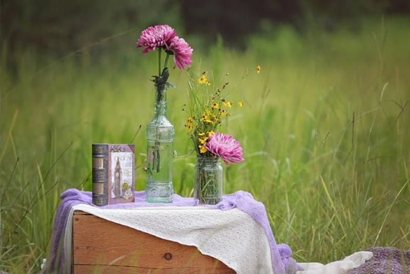 Pure Bloom, still life, book, flowers, garden, outdoor, HD wallpaper