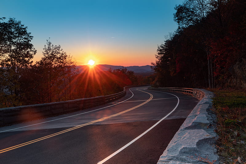 Road, turn, trees, rays, sunset, HD wallpaper | Peakpx