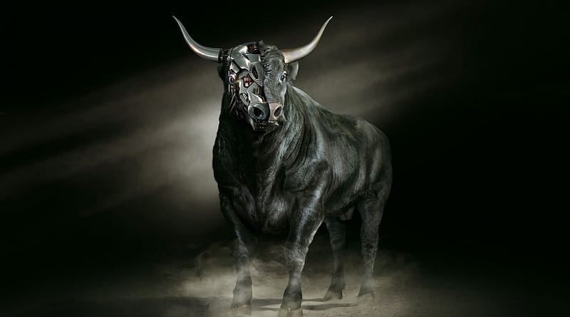 Zodiac ~ Taurus, fantasy, taurus, black, zodiac, bull, ox, animal, horns,  HD wallpaper | Peakpx