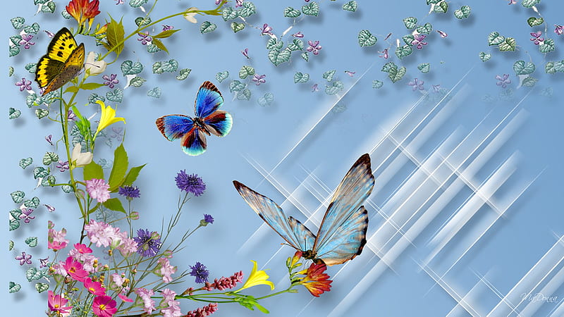 Wild Flower Butterflies, wild flowers, summer, color, scatter, firefox persona, spring, butterflies, sparkles, HD wallpaper