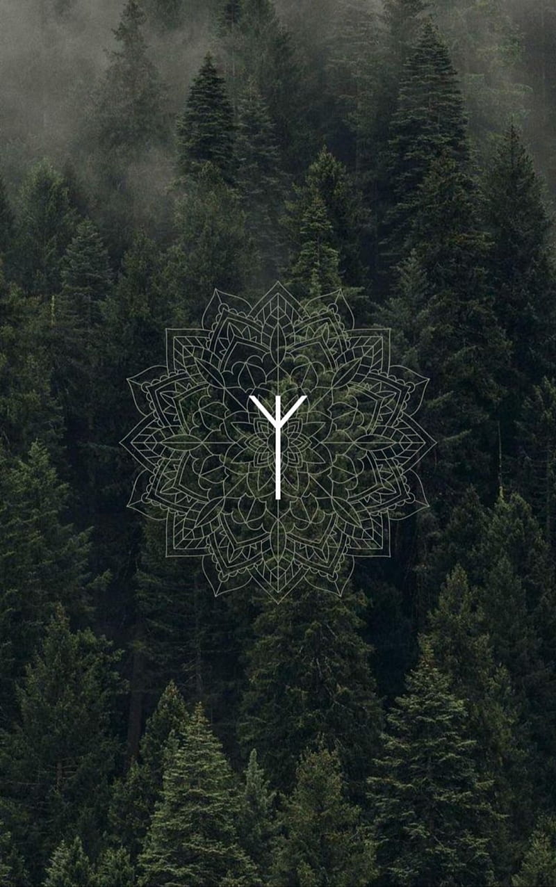 Norse runes, protection, Algiz, HD phone wallpaper