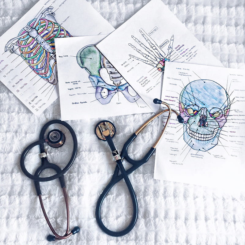Nursing Student, Medical Study, HD phone wallpaper | Peakpx