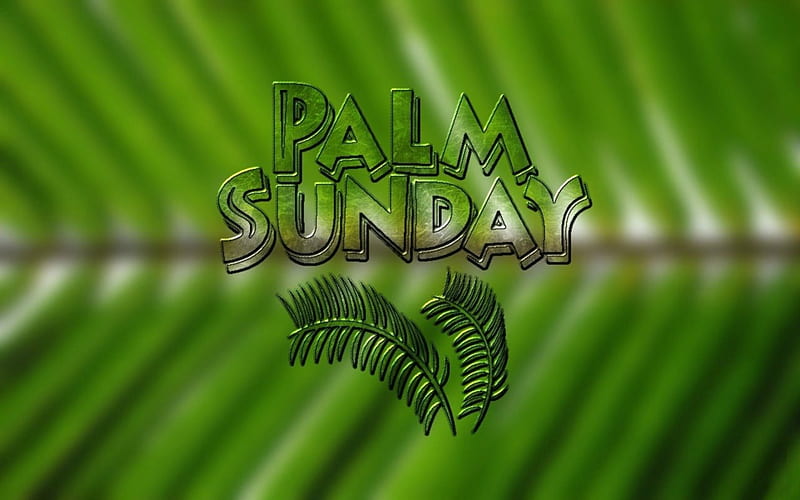Palm Sunday, Easter, green, palms, HD wallpaper | Peakpx
