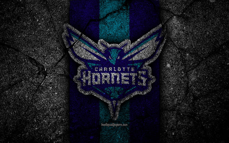 Charlotte Hornets, NBA logo, black stone, basketball, Eastern Conference, asphalt texture, USA, creative, basketball club, Charlotte Hornets logo, HD wallpaper