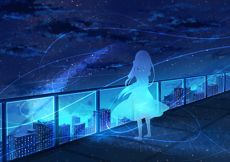 Anime girl silhouette, stars, night, rooftop, fence, scenic, sky, Anime, HD  wallpaper | Peakpx