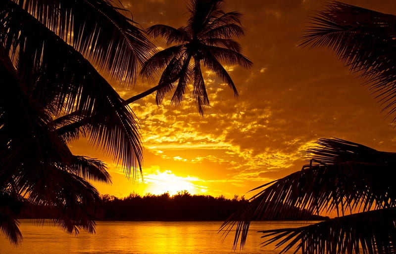 Sunset over Moorea South Pacific, moorea, polynesia, orange, sunset, sea, palm trees, beach, lagoon, sundown, sand, evening, exotic, islands, view, ocean, pacific, sky, south, paradise, island, tahiti, tropical, HD wallpaper