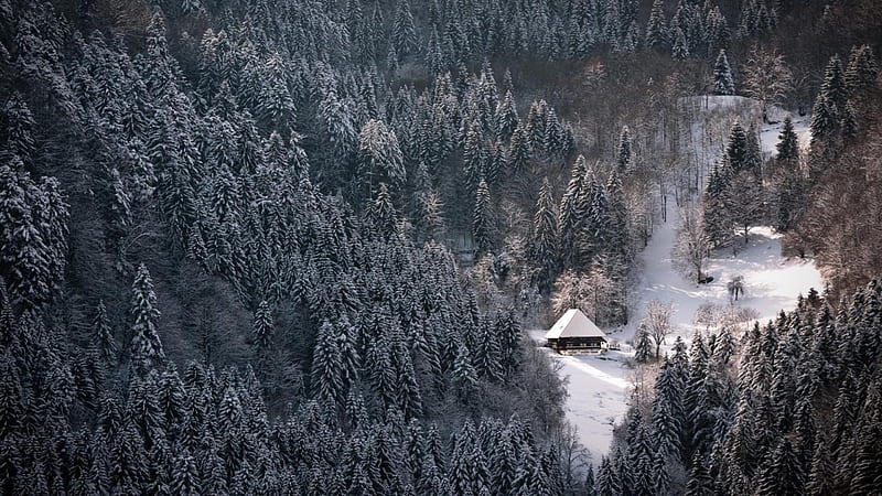 lodge in snowy black mountain forest, forest, lodge, winter, mountains, HD wallpaper
