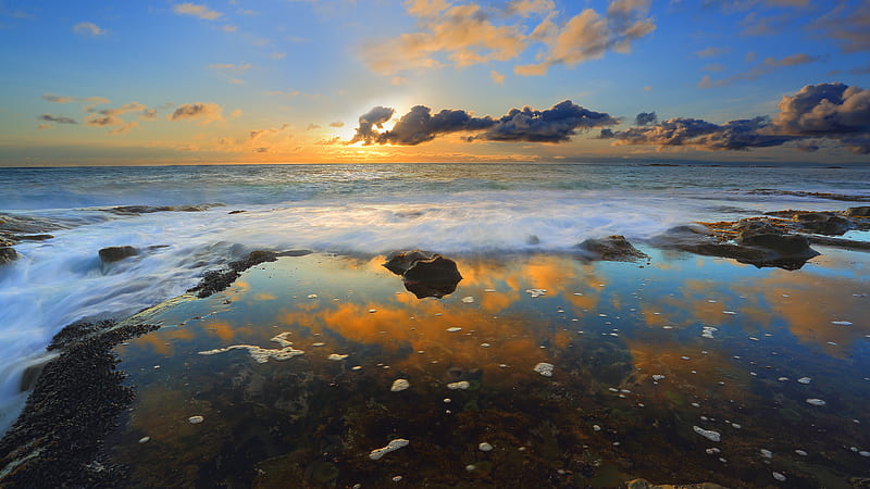 Green Sea Anemones During Sunset , sea, nature, sunset, HD wallpaper