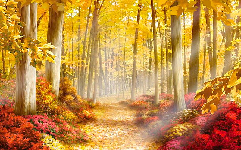 Autumn Path, Fall, forest, colors, path, sun rays, nature, Autumn, trees, Relaxing, HD wallpaper