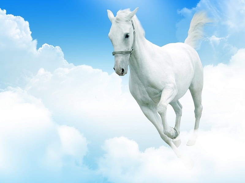 Horse in clouds, cloud, sky, horse, run, HD wallpaper | Peakpx