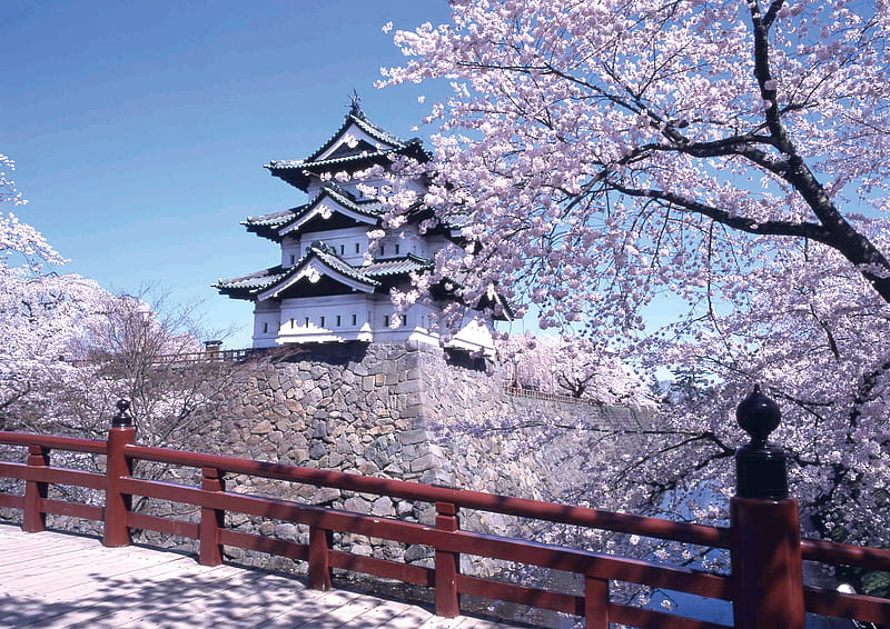 JAPAN, blossoms, home, landscape, cherry, HD wallpaper