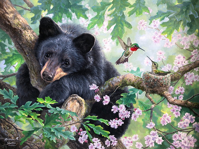 Hangin' up, tree, artwork, hummingbirds, bear, blossoms, painting, HD wallpaper